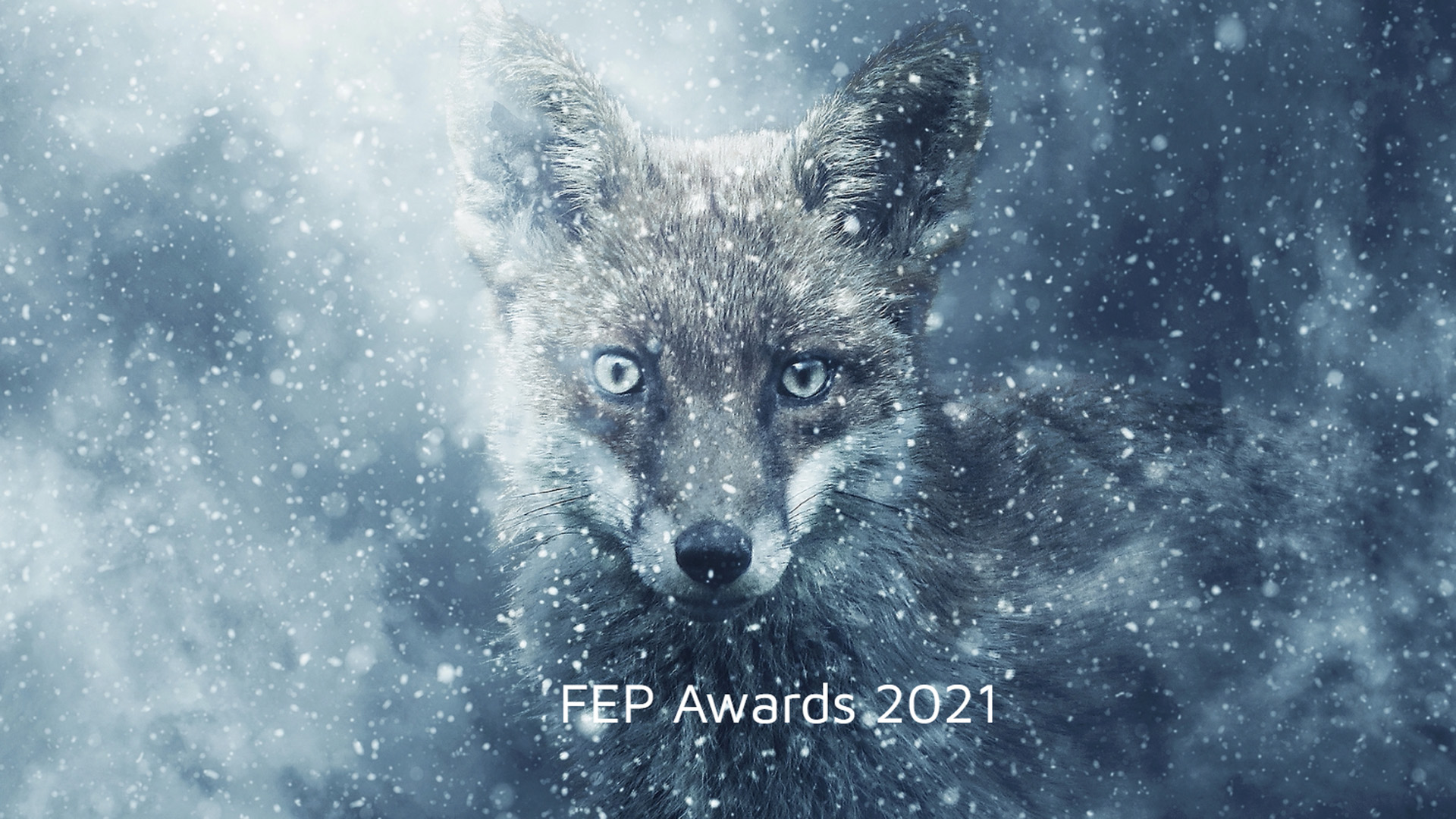 FEP Awards 2021