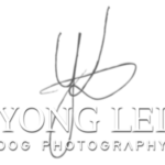 Profile picture of Yong Lei van Barlingen