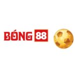 Profile picture of Bóng 88