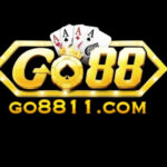 Profile picture of go8811com