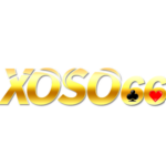 Profile picture of Xoso66 Vnco